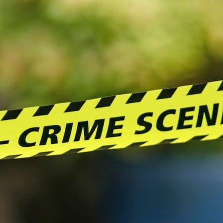 Image of: San Francisco Has Had the Strangest Crimes in 2015 — The Bold Italic — San Francisco