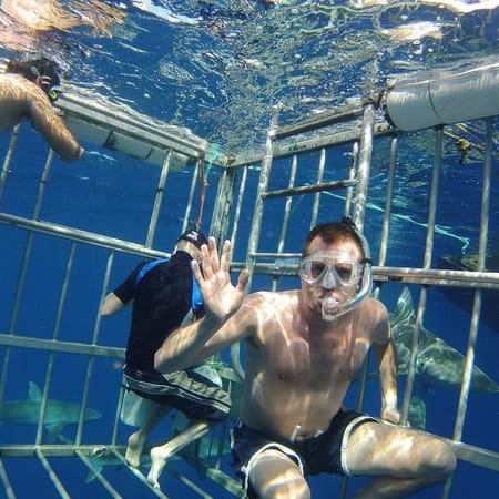 Image of: The Bay Area’s Sketchiest Bucket-List Activities