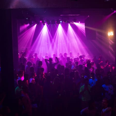 Image of: Party Pics: Is This a Photo of You at Big Gay Birthday?