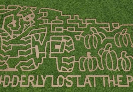 Image of: Get Lost in Bay Area Corn and Hay Mazes — The Bold Italic — San Francisco
