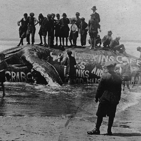 Image of: Amazing Private Collection of 120-Year-Old Photos of Western SF