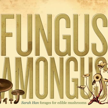 Image of: Fungus Amongus