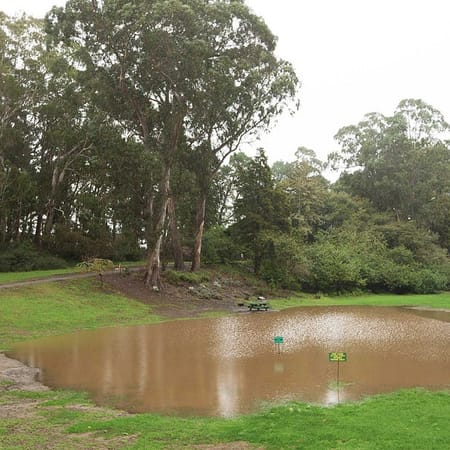 Image of: Storm Porn: Photos of Last Night’s Epic Storm — The Bold Italic — San Francisco