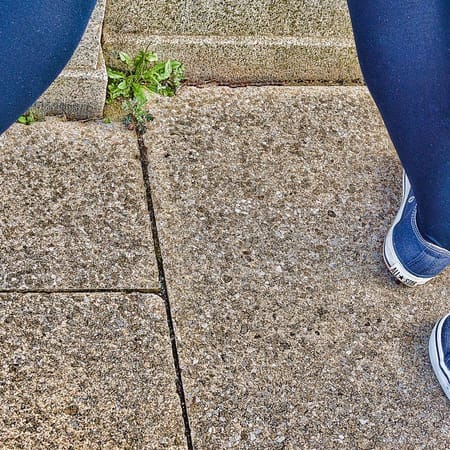 Image of: New Fun Census Facts on the Millennials of San Francisco — The Bold Italic — San Francisco