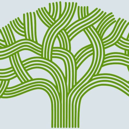 Image of: Oakland Nonprofits You Should Know