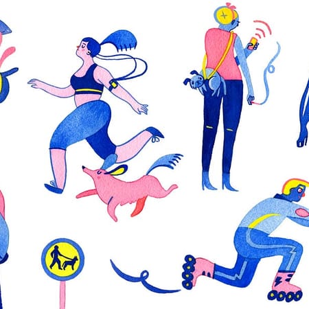 Image of: These are the Places to Take Your Dog in SF