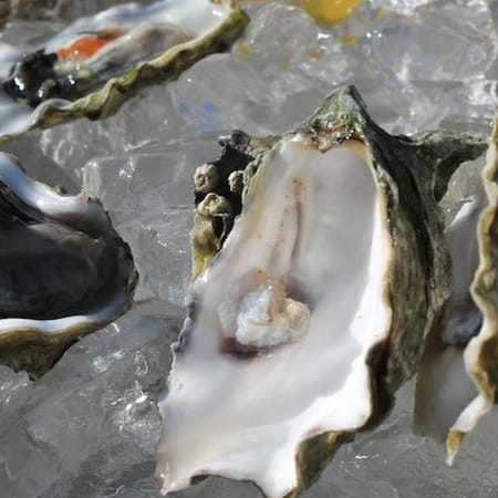 Image of: How Exactly Do You Farm Oysters? — The Bold Italic — San Francisco