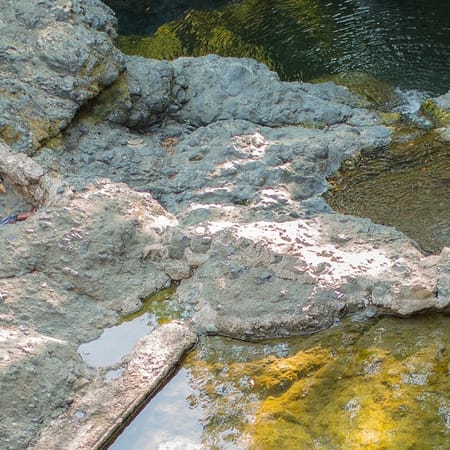 Image of: Why I Love Living in Marin — The Bold Italic — San Francisco