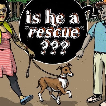 Image of: The 7 Kinds of Dog Shaming We See in San Francisco — The Bold Italic — San Francisco