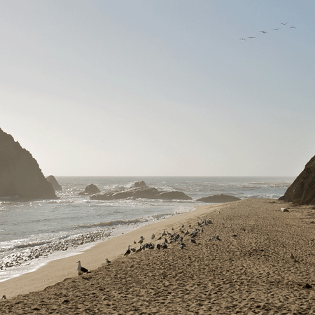 Image of: Billionaire Refuses to Open Public Beach Access — The Bold Italic — San Francisco