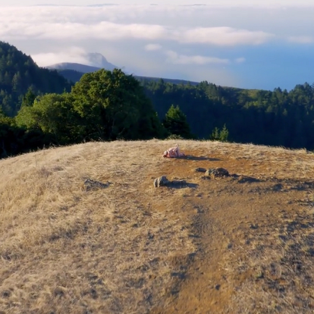 Image of: NSFW: Drone-Filmed Porn Was Made in SF