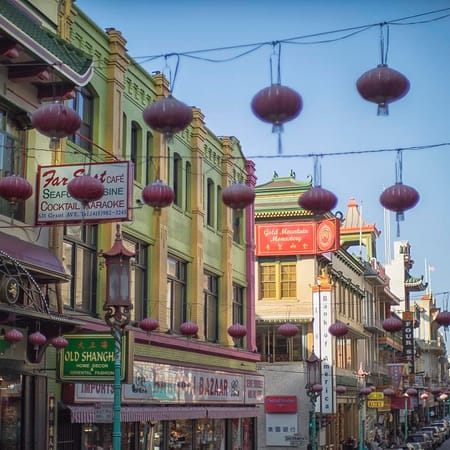 Image of: A Letter to a Tiger Mom (From a Tiger Cub) — The Bold Italic — San Francisco