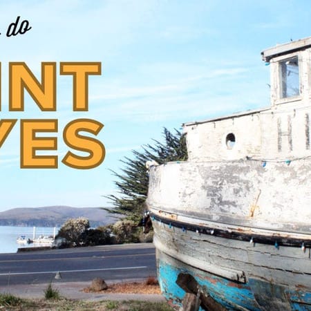 Image of: What to Do in Point Reyes