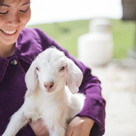 Image of: 4 Awesome San Francisco Food Bloggers