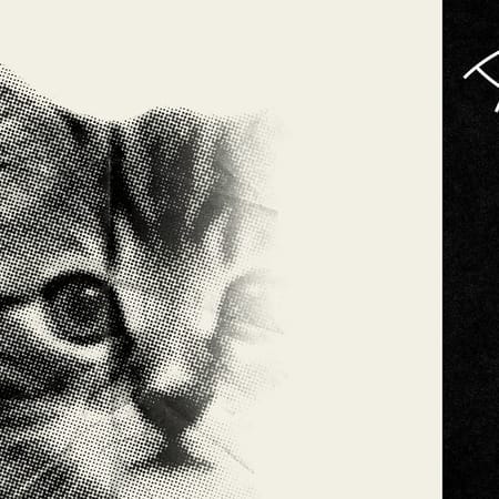 Image of: The Agony of Putting Your First Pet to Sleep — The Bold Italic — San Francisco