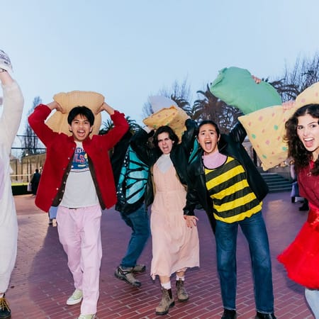 Image of: The boop that conquered San Francisco’s Valentine’s Day pillow fight