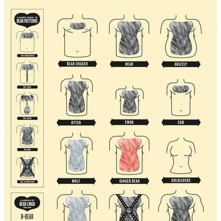 Image of: “A Field Guide To Bears” Poster Available Now