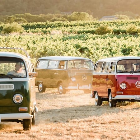 Image of: 5 Truly Unique San Francisco Activities Open Now