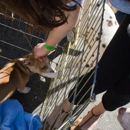 Image of: Seven Ways to Make San Francisco a Better Place