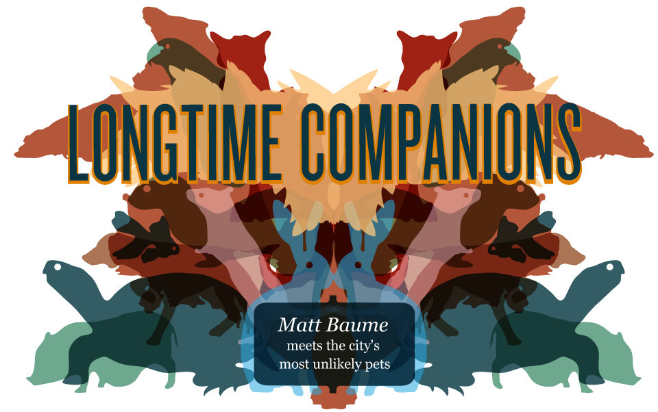 Image of: Longtime Companions