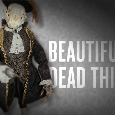 Image of: Beautiful Dead Things