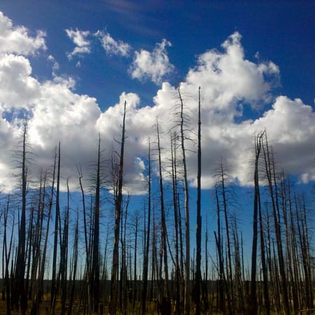 Image of: What the Santa Rosa Fires Taught Me