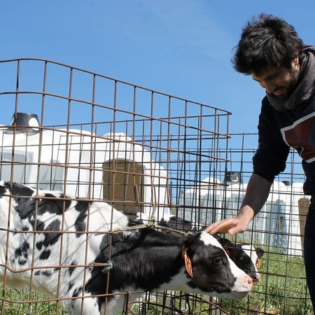 Image of: Chef’s Day Off: Fiorella’s Virtuoso Chef Shows You His Favorite Bay Area Haunts