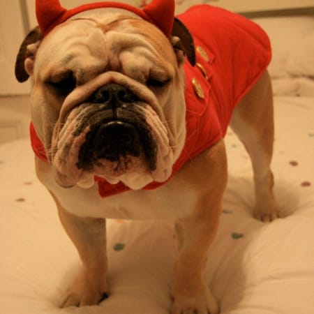 Image of: Are We Living in the End Times?