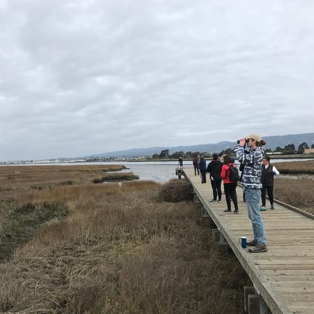 Image of: How Birdwatching Helped Ease My Anxiety