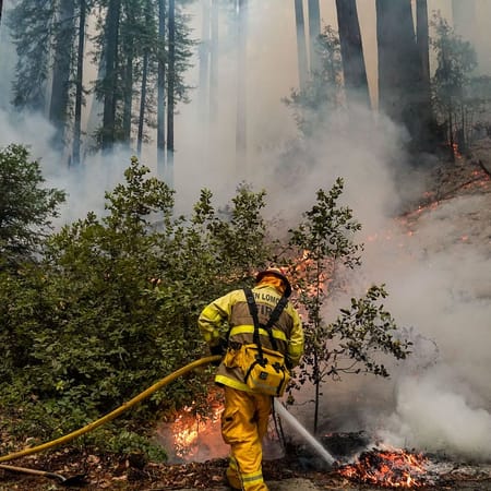 Image of: My Heart Aches for Santa Cruz