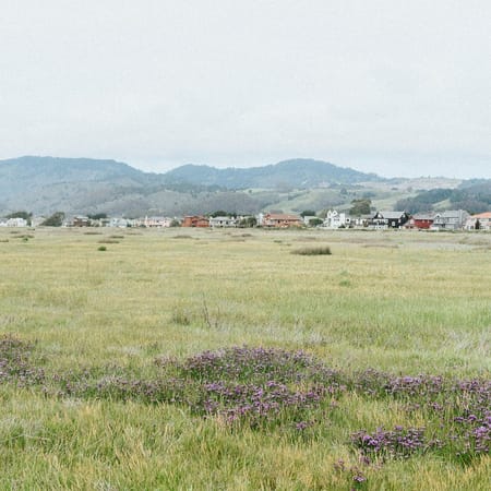 Image of: Ocean Calling: Documenting the Laid-Back Beauty of Half Moon Bay, in Photos