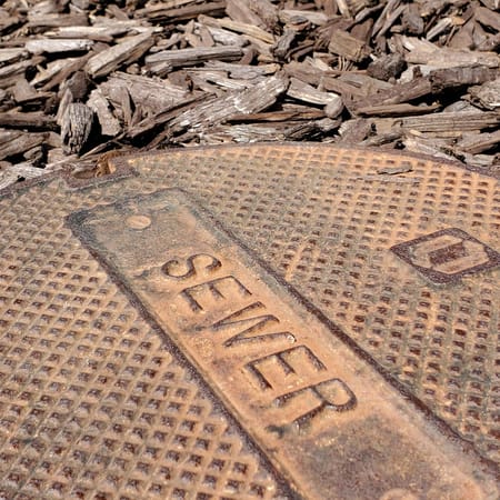 Image of: Contra Costa County Looking for Covid-19 In Poop