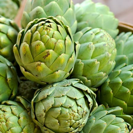 Image of: Monterey’s Artichoke Festival Promises Returns