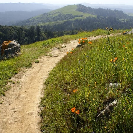 Image of: The Most Scenic and Spacious Hikes in the South Bay