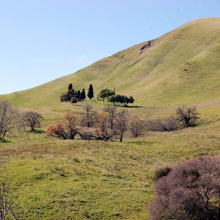 Image of: The Weird and Wonderful History Behind East Bay Parks