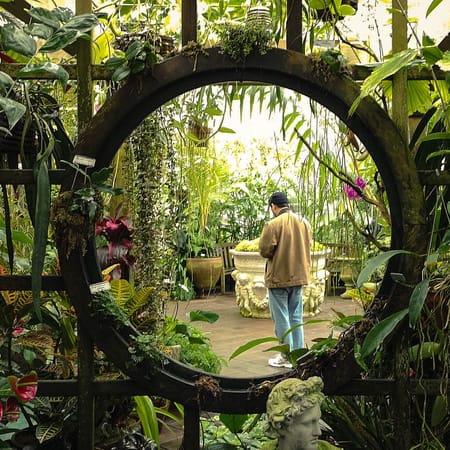 Image of: Ways to Take a Mental Health Day in San Francisco