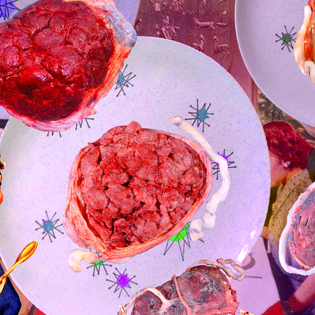 Image of: The SF Foodie’s Final Frontier: Placenta Cuisine