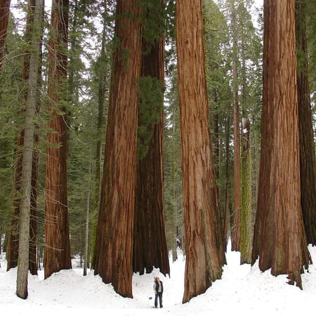 Image of: Your Winter Guide to Northern California Vacations