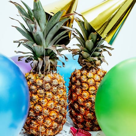 Image of: Bay Area Events to Get Excited About in 2020