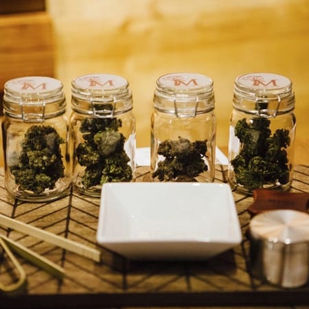 Image of: Weekly News Roundup: Pot Edition