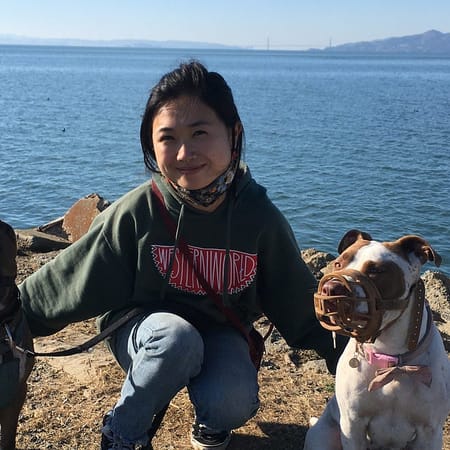 Image of: My Rescue Pit Bull Helped Me Leave a Relationship and Find New Love