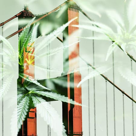 Image of: The Winner of the Pandemic: The Weed Industry