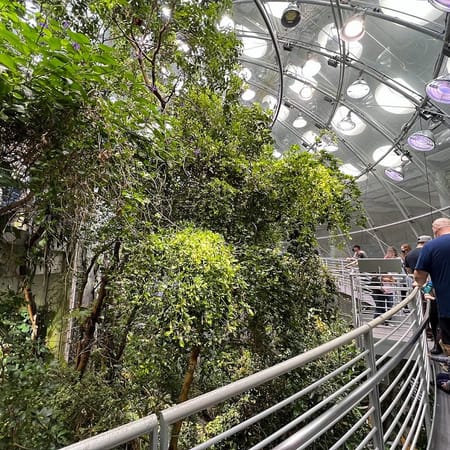 Image of: 5 Awesome Bay Area Kids’ Activities for a Rainy Day