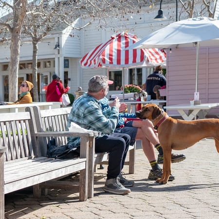 Image of: 3 Car-Free San Francisco Day Trips That Save Gas