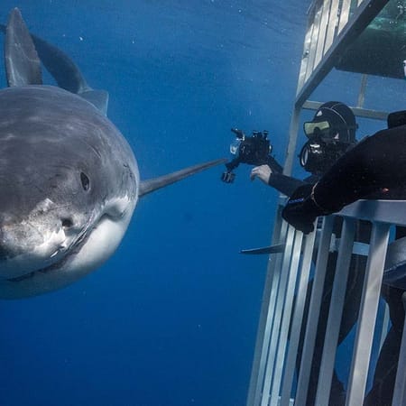 Image of: Face Your Fears: Eight Thrilling Experiences in the Bay Area to Help You Live a Little