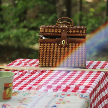 Image of: What Are the Best Picnic Spots in San Francisco?