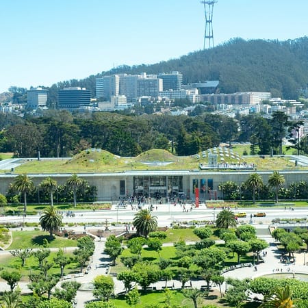 Image of: 3 Amazing Living Roofs in San Francisco to Visit