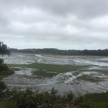 Image of: Six Hidden Bay Area Hikes You Might Not Know