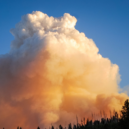 Image of: TBI’s 5 Best: Ways to Help Camp Fire Survivors