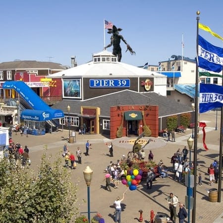 Image of: The Worst Places in the Bay Area to Get Stuck with a Demogorgon